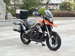 Cyclone RX250 - ფოტო 1