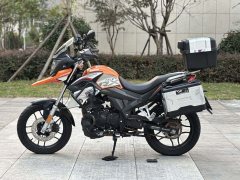 Cyclone RX250 - ფოტო 6