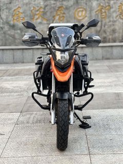 Cyclone RX250 - ფოტო 7