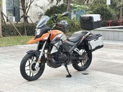 Cyclone RX250 - ფოტო 9