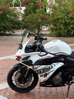 QJMOTOR Sai 450 - ფოტო 7