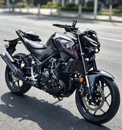Yamaha MT-03 320 cc - ფოტო 2
