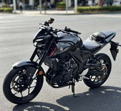 Yamaha MT-03 320 cc - ფოტო 6