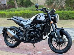 Benelli Young Lion Leoncino 250 - photo 1