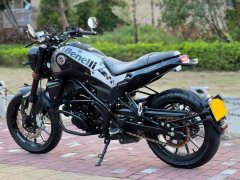 Benelli Young Lion Leoncino 250 - photo 5