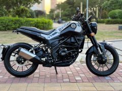 Benelli Young Lion Leoncino 250 - photo 6