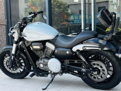 Benda Challenger 300 - photo 6