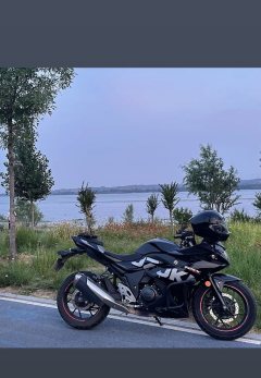 Haojue Suzuki GSX250R - фото 6