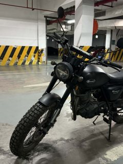 Qingqi U-Knight Bigfoot Crawler 250 cc - photo 3