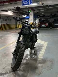 Qingqi U-Knight Bigfoot Crawler 250 cc - photo 5