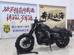 Hyosung GV300S - ფოტო 2