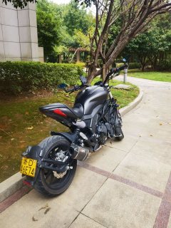 Benelli 502C 500 cc - photo 4