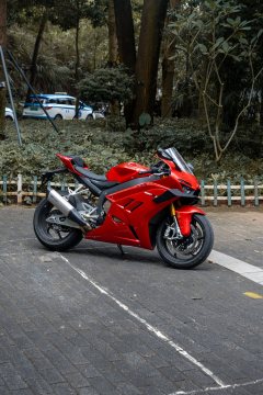 Zhangxue Motorcycles 820RR - ფოტო 4