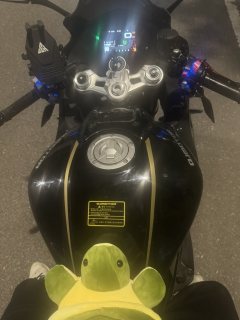 QJMOTOR Race 800 - ფოტო 3