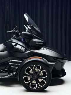 Pangbadi Spyder RT 1330 cc - photo 11