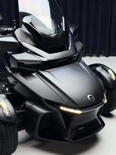 Pangbadi Spyder RT 1330 cc - photo 7