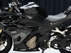 QJMOTOR Sai 450 - photo 5