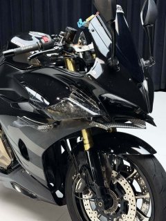 QJMOTOR Sai 450 - photo 6