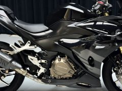 QJMOTOR Sai 450 - photo 9