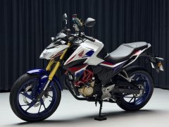 Sundiro Honda CBF190R - ფოტო 6