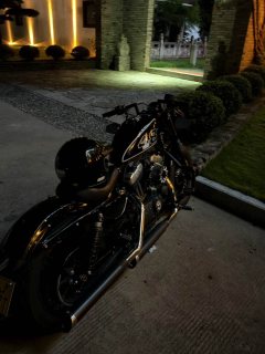 Harley-Davidson Forty-Eight athlete 1200 cc - ფოტო 2
