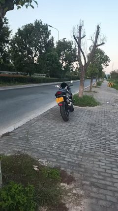 Nuoma Phantom 255S 250 cc - ფოტო 1