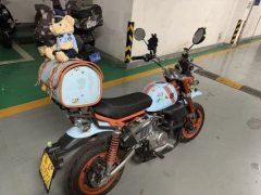 Stoner Monkey 125 cc - ფოტო 2