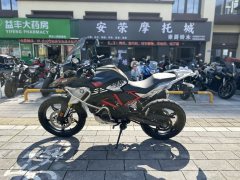 BMW G 310 GS - photo 6