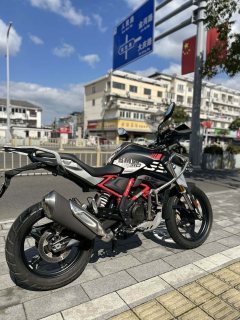 BMW G 310 GS - photo 7