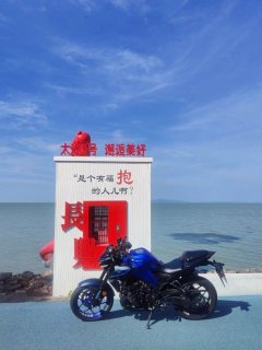 Yamaha MT-03 320 cc - ფოტო 2