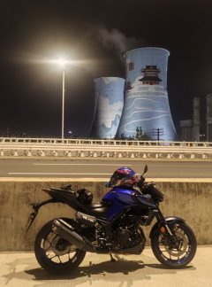 Yamaha MT-03 320 cc - ფოტო 5