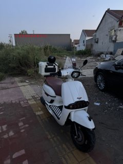 Weiduoliya Sixties 150Si - ფოტო 3