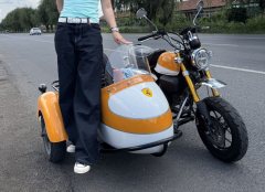 Stoner Monkey 125 Sidecar - ფოტო 6