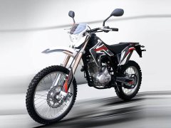 Xinguizun ZH250GY - фото 1