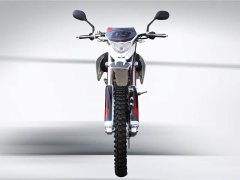 Xinguizun ZH250GY - фото 2