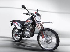 Xinguizun ZH250GY - фото 3