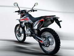 Xinguizun ZH250GY - фото 5