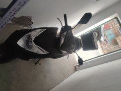 Sundiro Honda SDH125T-31 - ფოტო 1