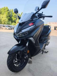 QJMOTOR Hong 250 - ფოტო 3