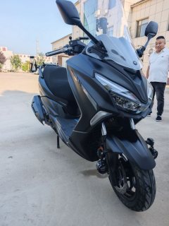 QJMOTOR Hong 250 - ფოტო 4