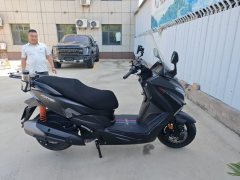 QJMOTOR Hong 250 - ფოტო 5