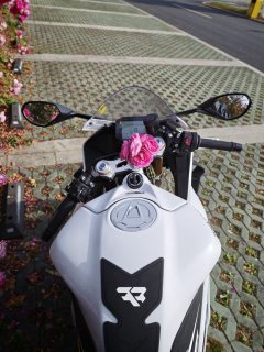 Zhangxue Motorcycles 500RR - ფოტო 4