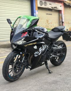 Kayo 250RR Thornbird - ფოტო 2