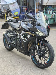 Kayo 250RR Thornbird - ფოტო 3