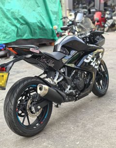 Kayo 250RR Thornbird - ფოტო 4