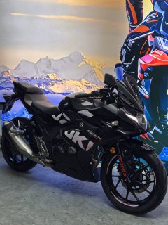 Haojue Suzuki GSX250R - photo 5