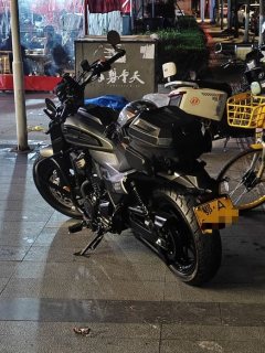 Cyclone AQS401 400 cc - ფოტო 3