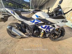 Haojue Suzuki GSX250R - ფოტო 2