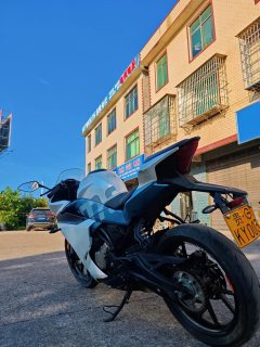 CFMOTO 250SR - ფოტო 9
