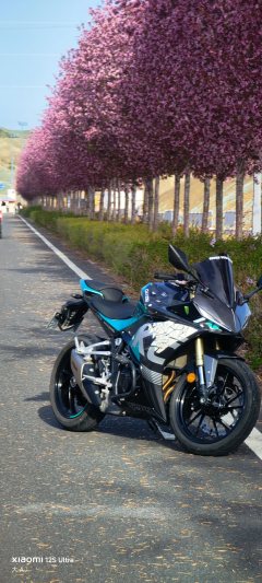 Kayo 321RR 320 cc - фото 2